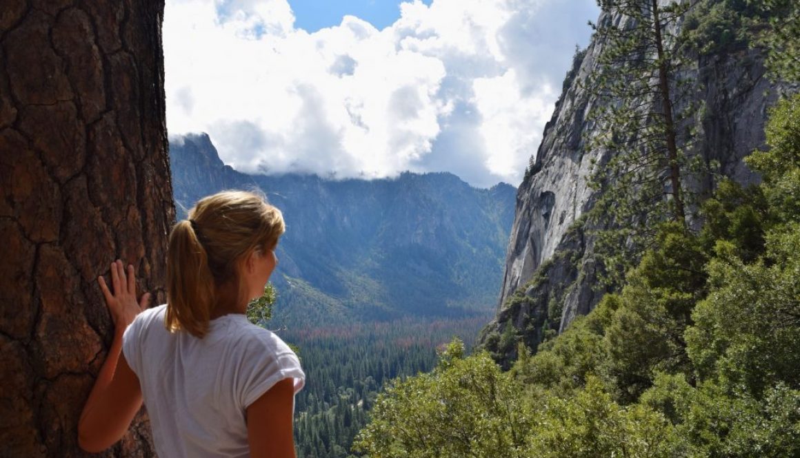 Voyage au coeur de la nature à Yosemite National Park