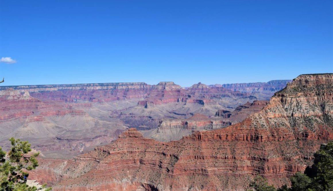 Grand Canyon : le lieu mythique de notre road trip aux Usa !
