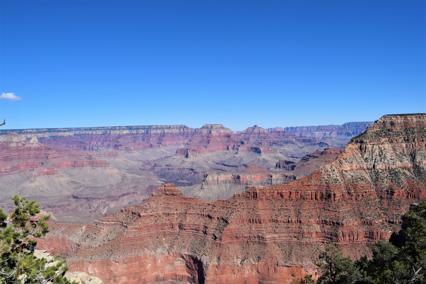 Grand Canyon : le lieu mythique de notre road trip aux Usa !