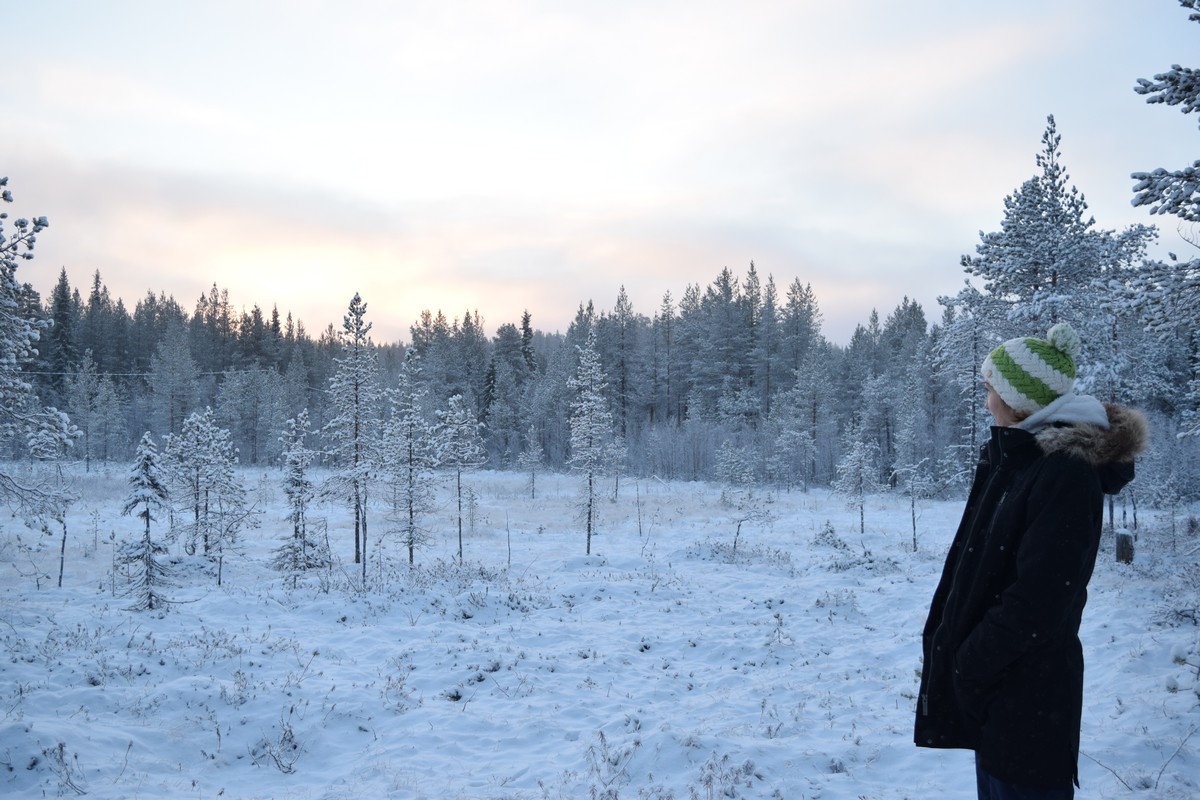 voyage en laponie finlandaise sallatunturi neige