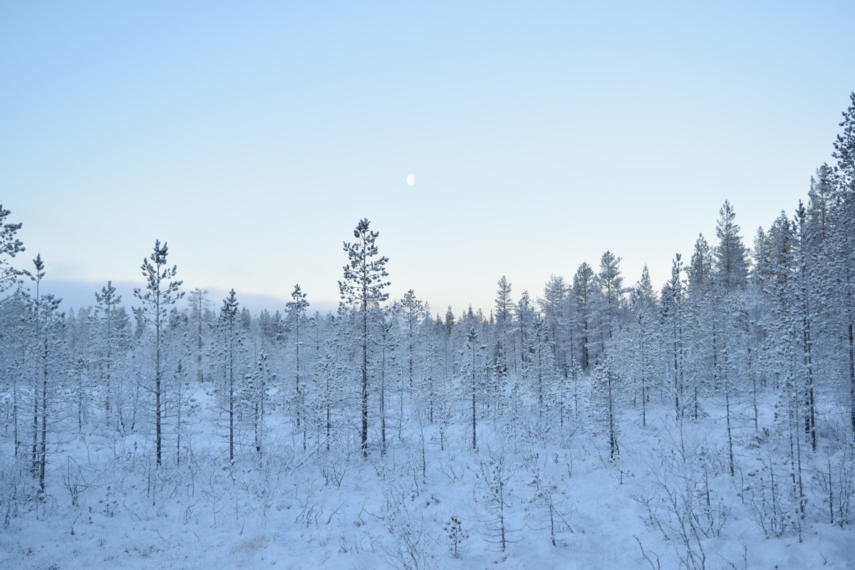 neige salla voyage en laponie finlandaise